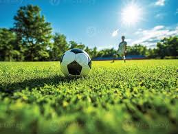 常见问题示意图